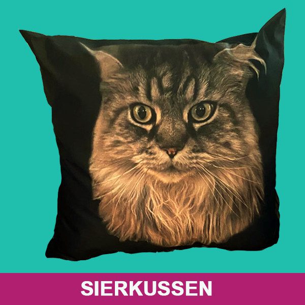 Sierkussen Atlas-Sierkussen-Bert.jpg